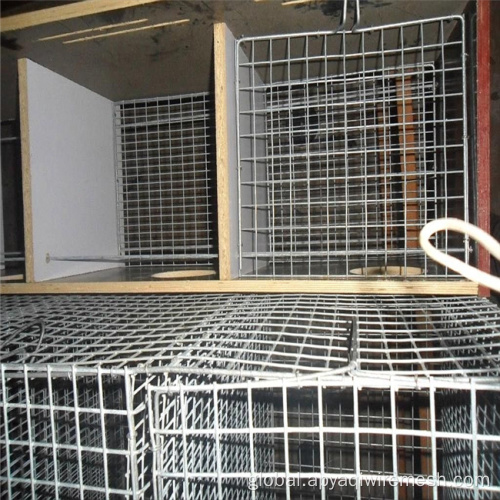 Bird Cage Welded Wire Mesh Rolls YQ Factory Supply 10*10 Galvanized Welded Iron Wire Mesh for Cages Factory